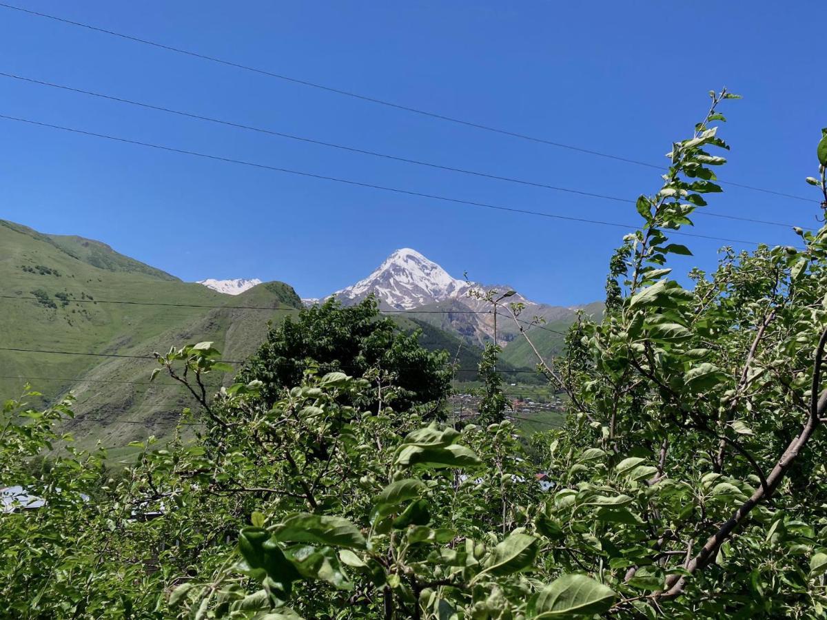 Geo Inn Kazbegi Eksteriør billede